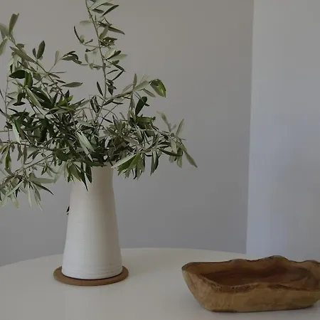 Cosy, Climatise Et A Deux Pas De La !